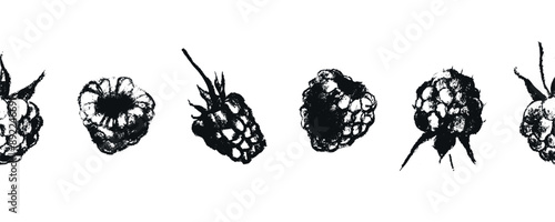 Scotch tape with blackberry pattern. Vector drawing of blackberries in style of hand drawn graphics. Dry pastel mulberry illustrations. Fruit ribbon with seamless pattern of purple berries.