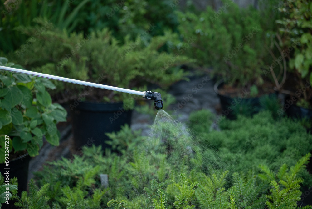 Treatment of ornamental plants from pests