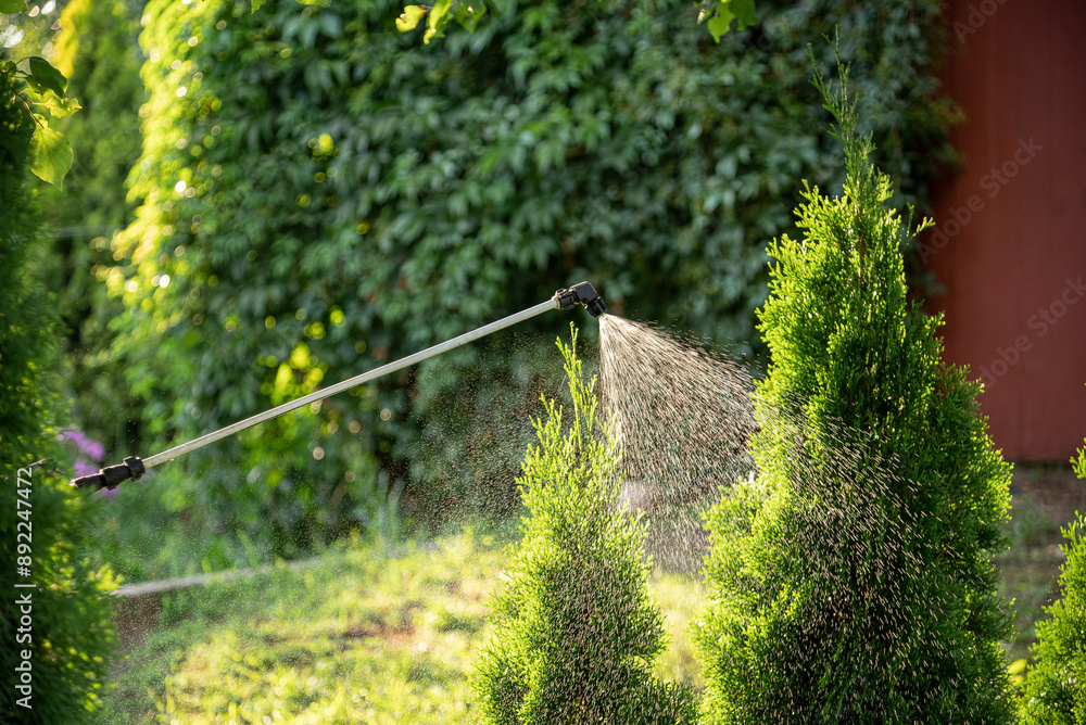 Treatment of ornamental plants from pests