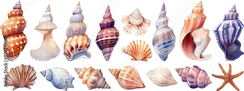 Collection of seashells and beach treasures on a white background. Vector flat isolated