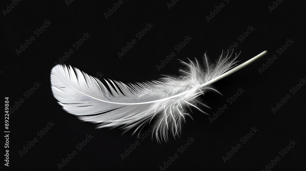 Obraz premium A photorealistic, high-resolution close-up of a white feather set against a black background. Generative AI