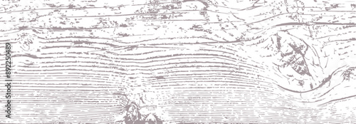 Texture of old knotted wooden board