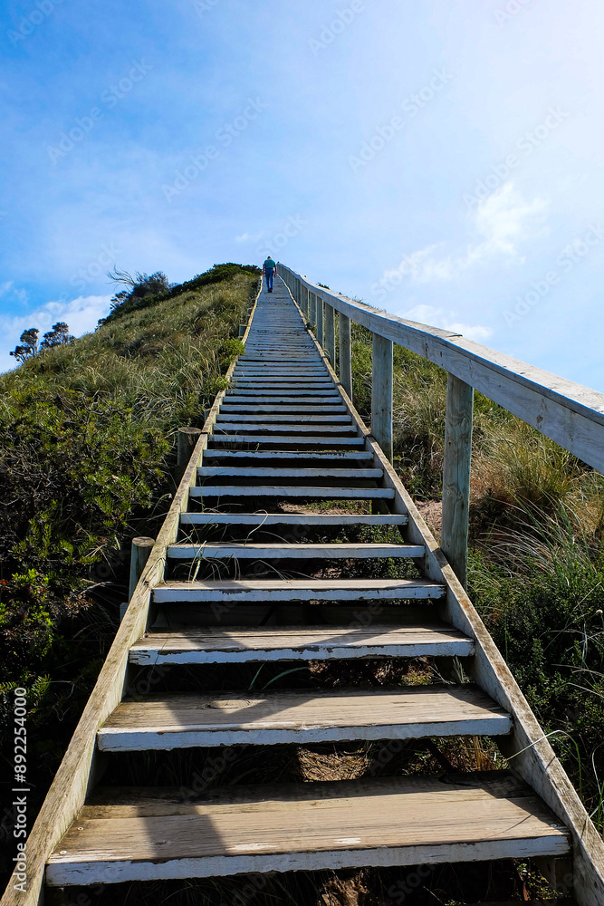 Fototapeta premium The Neck, Bruny island, Tasmania Wilderness, Australia