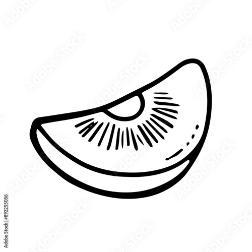  kiwi vector illustration. outline drawing of sour green fruit, on a white background