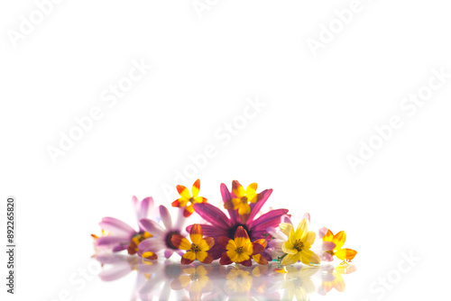 small bouquet of small multi-colored summer flowers