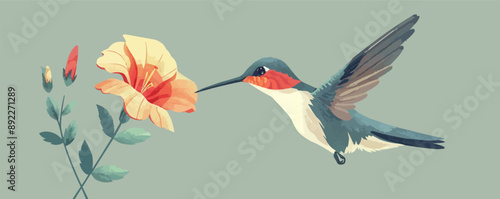 Hummingbird sipping nectar from a flower. Vector flat minimalistic isolated illustration