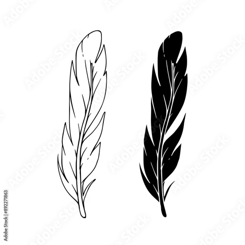 Linear sketch, outline, silhouette, bird feather stamp. Vector graphics.