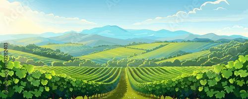 Tranquil countryside vineyard with rows of grapevines. Vector flat minimalistic isolated illustration.