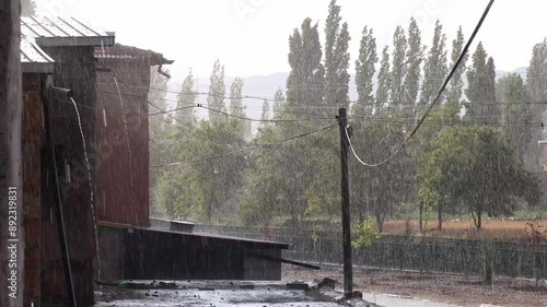 the summer rain