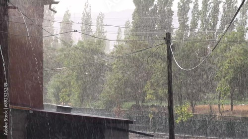 the summer rain