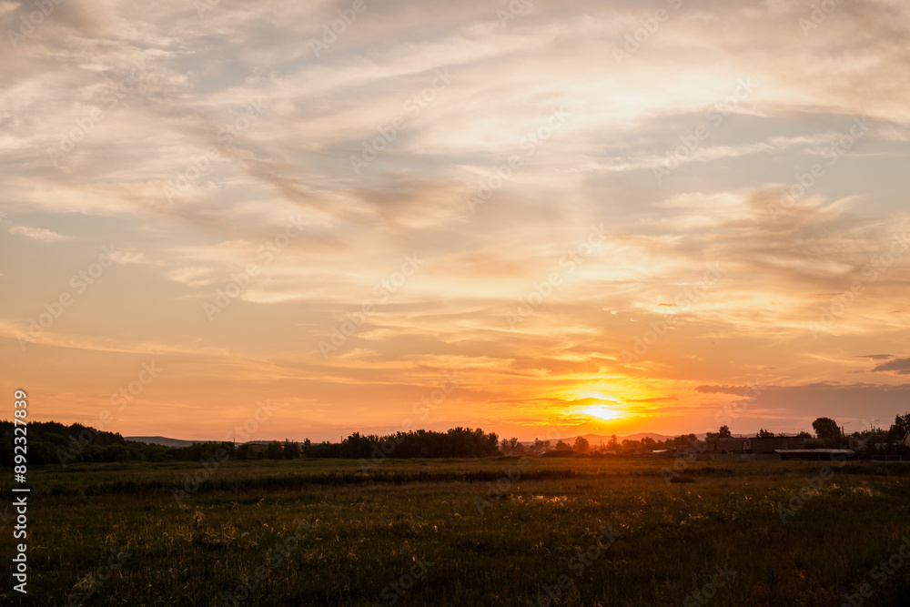 colorful summer sunset in a field of flowers colorful summer sunset in a field of flowers