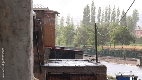 the summer rain
