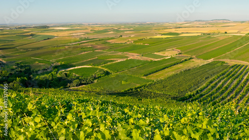 aggregated landscapes of farmland