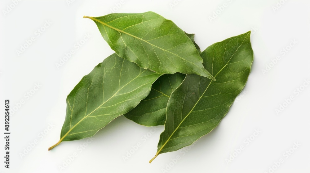 Fototapeta premium Close-up of three green leaves placed on a white background, great for designs and illustrations