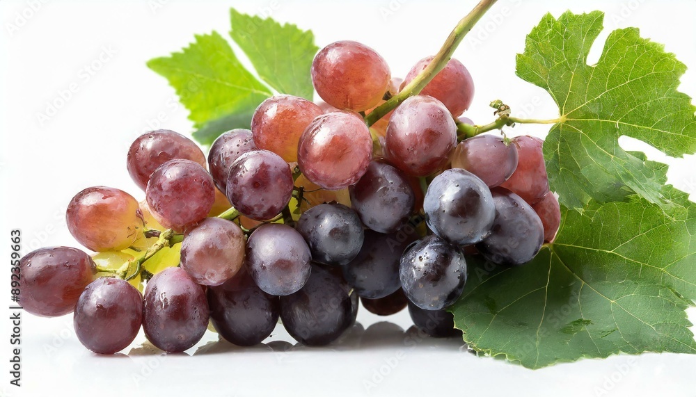 Fototapeta premium Trauben Ohne Hintergrund Isoliert