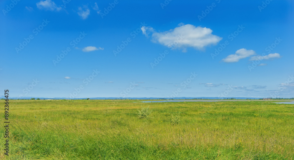 field and blue sky, Lange Lacke, Burgenland, Austria, May 2024 field and blue sky, Lange Lacke, Burgenland, Austria, May 2024