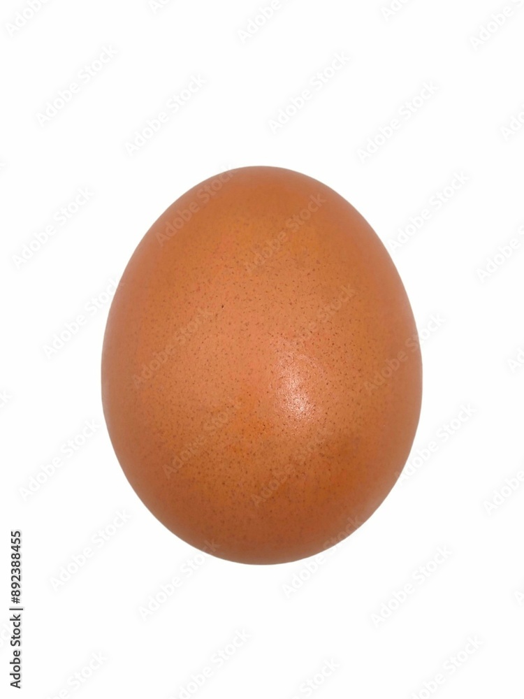 Photo of a chicken egg, isolated on white background. Photo of a chicken egg, isolated on white background.