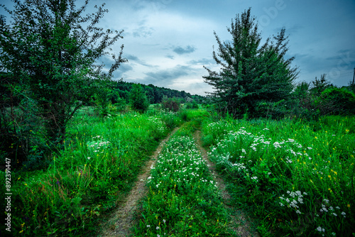 Landscape at the evening . Blue hour . Forest , mystery lake . Clouds over the forest . Trees in woods. Summer forest . Green grass. Blue sky . Rain weather in forest. Stormy evening 