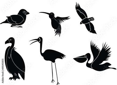 Big vector set of birds in flat style. Collection of different birds flying sitting isolated on white background.  group of bird with transparent background. Animals vector illustration