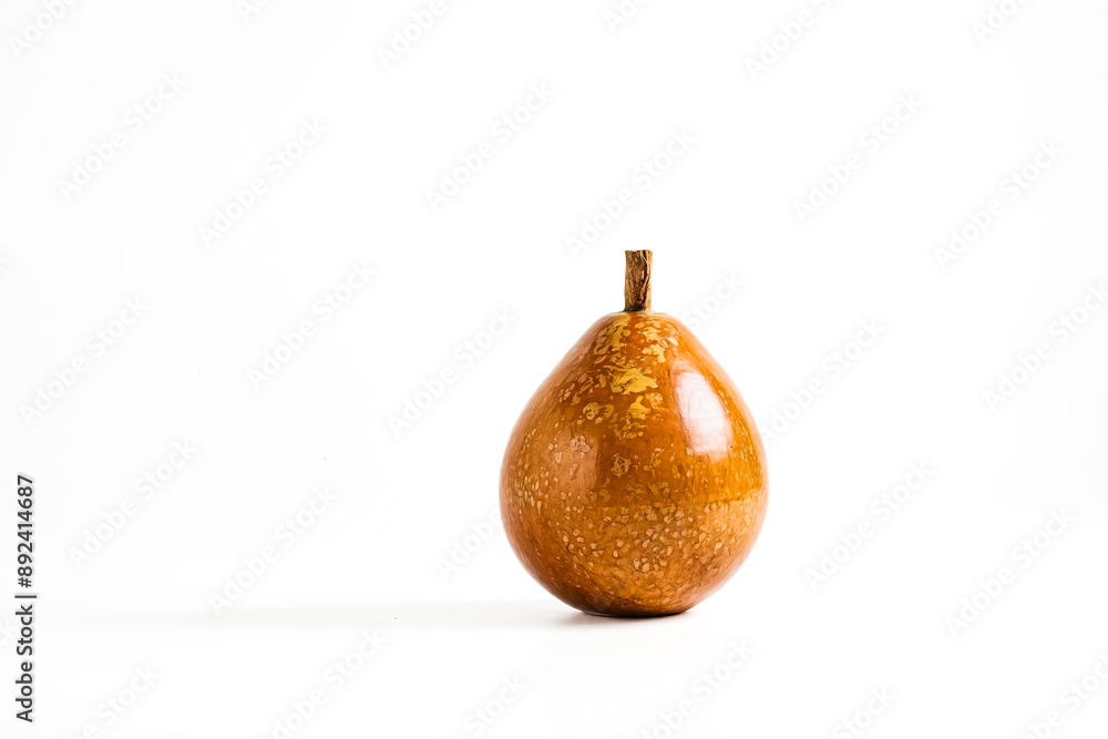 Single Gourd on White Background Single Gourd on White Background
