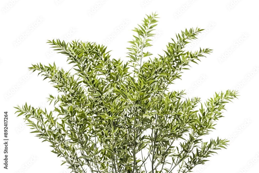 Naklejka premium Green Branches