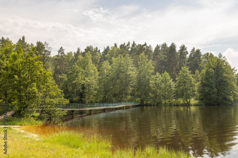 Fototapeta premium A lake with a bridge and trees in the background