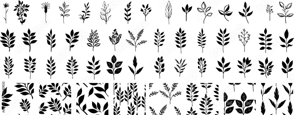 Fototapeta premium a set of minimalist leaflets. Black and white plants.