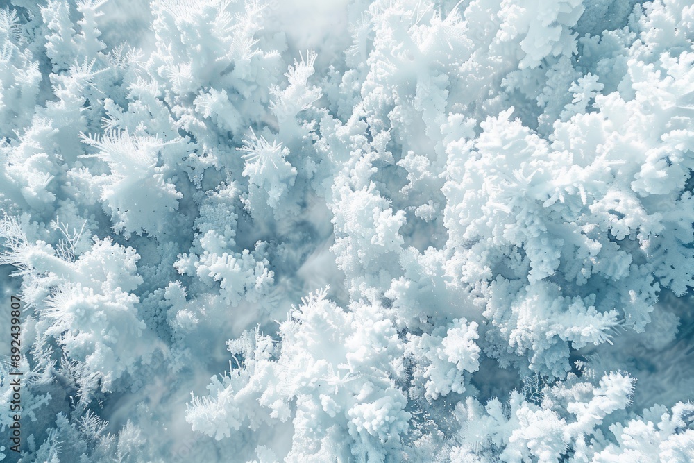 Fototapeta premium A close up of a snowy forest with white trees. The snow is so thick that it covers the entire tree, giving it a ghostly appearance. Concept of tranquility and peacefulness