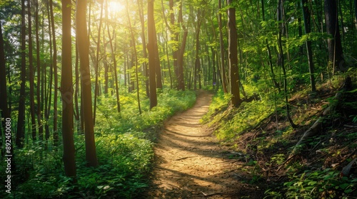 A hiking trail winding through a forest alive with chirping birds and the rustling of leaves, dappled sunlight filtering through the canopy on a warm summer day.