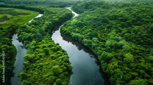 A scenic river winding through a lush green forest, reflections of trees in the water