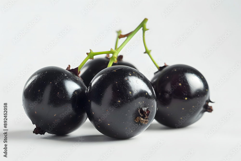 Whole Black currant fruit on a white background Whole Black currant fruit on a white background