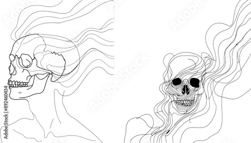 Drawing of a continuous one-line human skull. Illustration of a modern human skull.