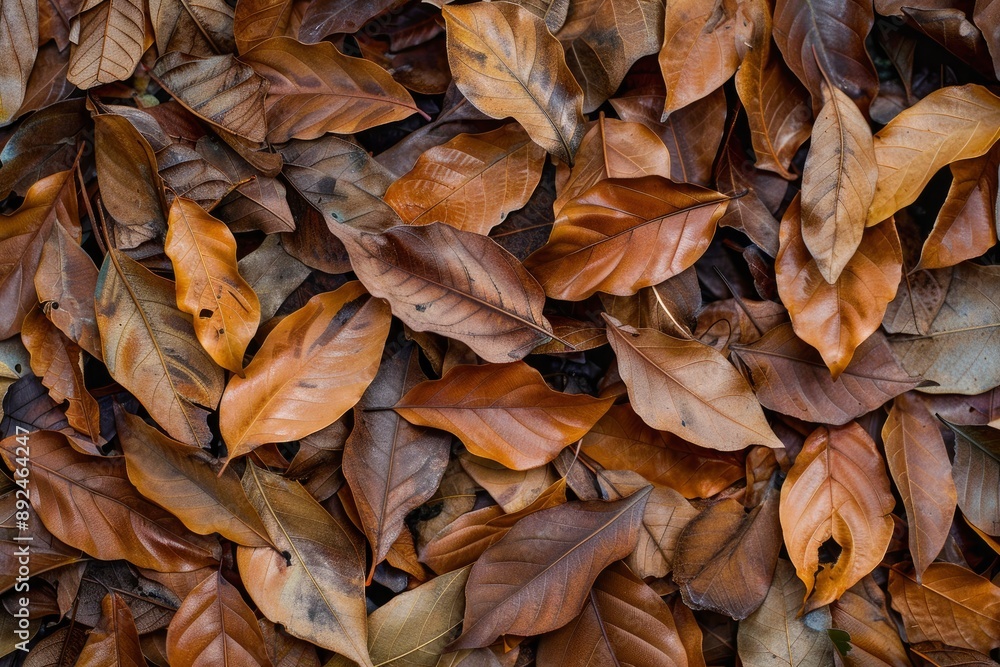 tropical fallen dry brown leaves in the wood - generative ai tropical fallen dry brown leaves in the wood - generative ai