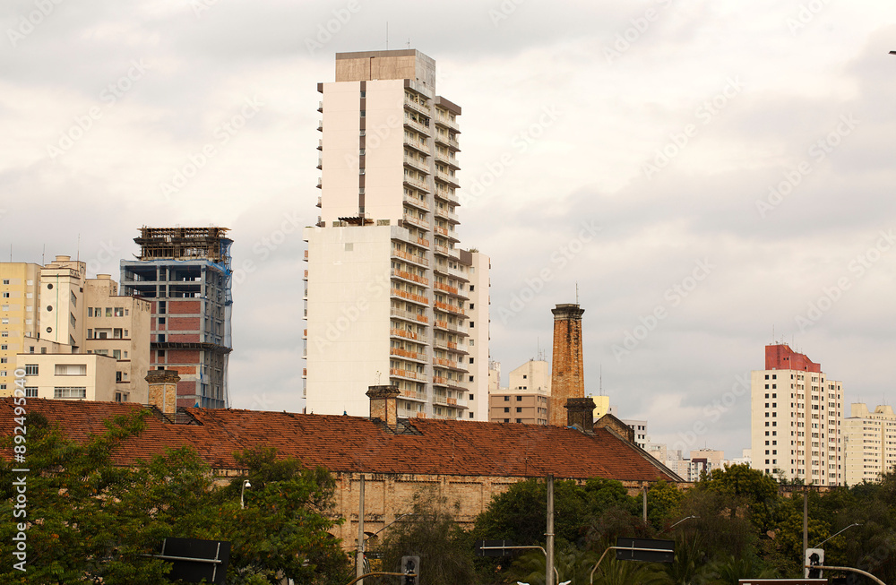 Fototapeta premium Prédios, viadutos, casas, guindaste, árvores e as cores da cidade de São Paulo.