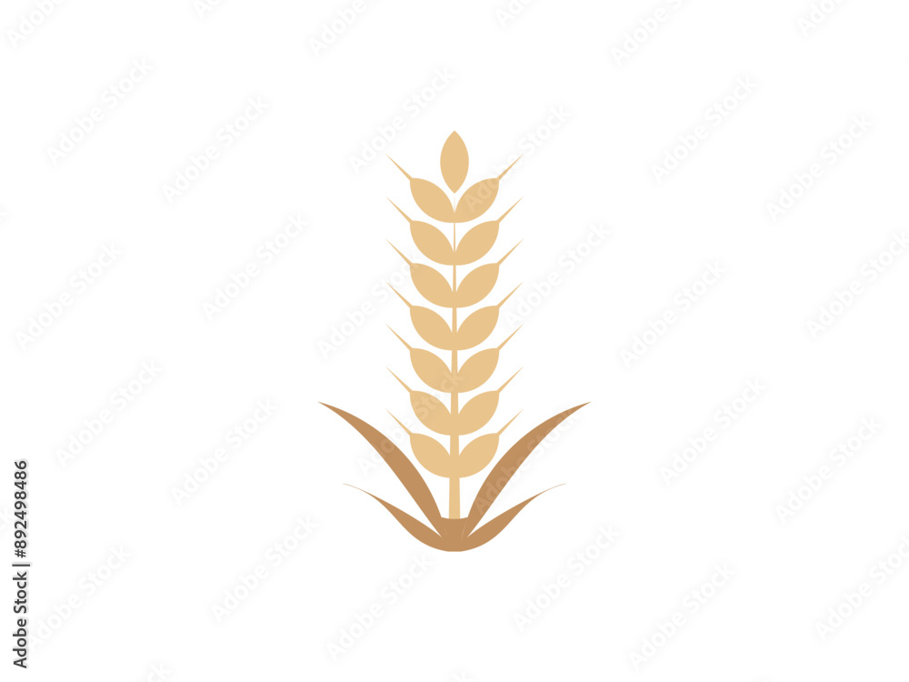 vector bunch of wheat or rye ears with whole grain logo icon template vector bunch of wheat or rye ears with whole grain logo icon template