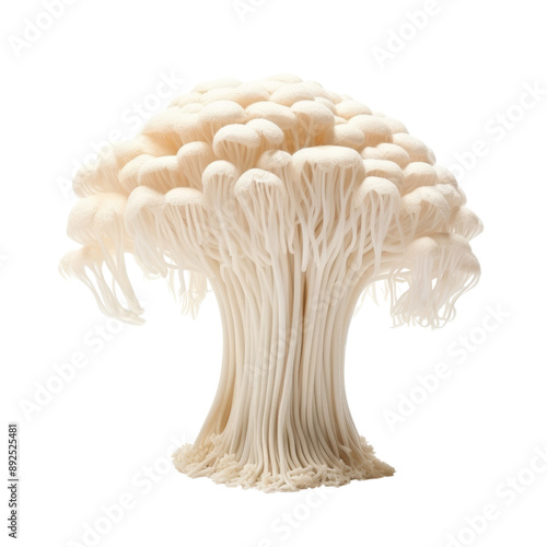 Isolated Enoki Mushroom with Delicate Stems and Caps, No Background.