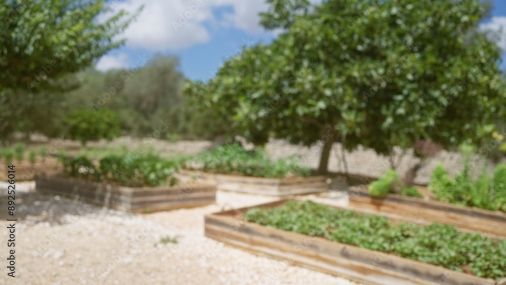 Blurred garden with raised beds filled with lush greenery in a defocused outdoor agricultural setting under a sunny sky Blurred garden with raised beds filled with lush greenery in a defocused outdoor agricultural setting under a sunny sky