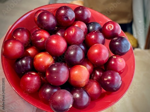 Close-up of freshly harvested marmottier fruits (Prunus brigantina) in a red bowl, showcasing their vibrant red and purple hues photo