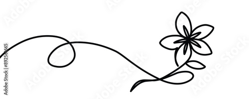 Continuous line drawing flowers. Simple linear style. Vector ilustration