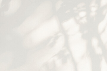 Tree shadow and light of leaf branch background. Nature leaves tropical jungle tree branch dark shadows and light from sunlight on wall texture for background wallpaper design, shadow overlay effect