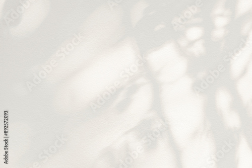 Tree shadow and light of leaf branch background. Nature leaves tropical jungle tree branch dark shadows and light from sunlight on wall texture for background wallpaper design, shadow overlay effect photo