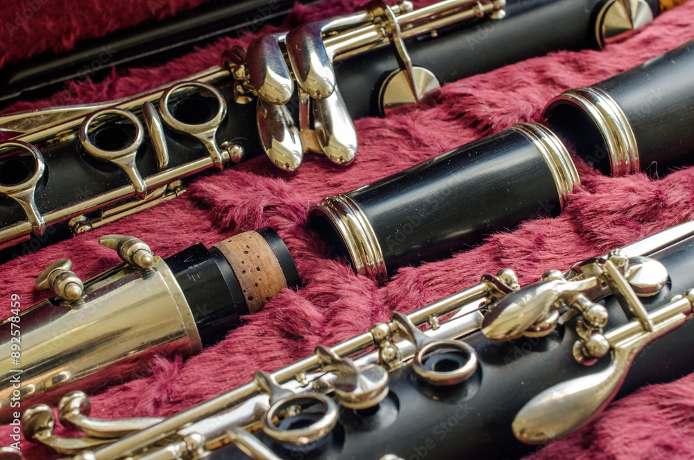 Naklejka premium French system clarinet disassembled in a case on a bright burgundy background