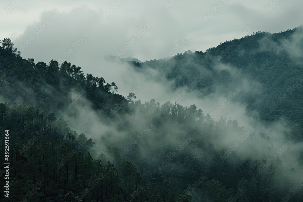 Misty forest landscape with dense fog covering the hills and mountains, creating a serene and mysterious atmosphere. Misty forest landscape with dense fog covering the hills and mountains, creating a serene and mysterious atmosphere.