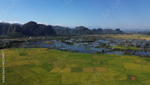 Fotografie landscape with green ricefield and blue sky