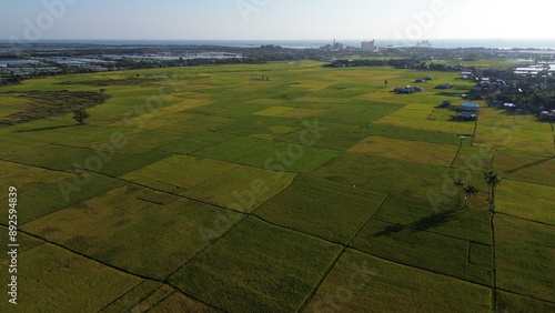 Obraz na plátně landscape with green ricefield and blue sky
