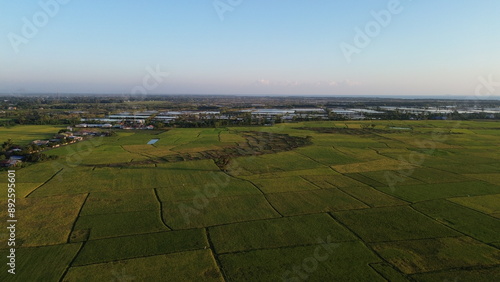 Fotografie landscape with green ricefield and blue sky
