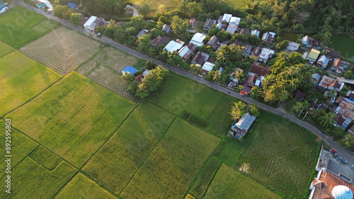 Obraz na plátně landscape with green ricefield and blue sky