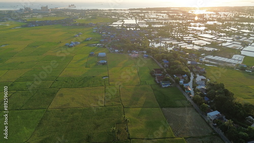 Fotografie landscape with green ricefield and blue sky