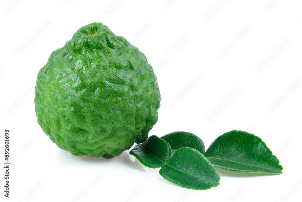 Kaffir lime close up on white background. Kaffir lime close up on white background.
