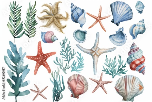 watercolor marine elements